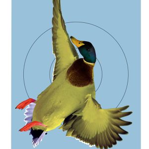 Birchwood Casey 35407 Pregame  Duck Paper Hanging Rifle/Shotgun 12" x 18" Impact Enhancement 8 Per Pkg